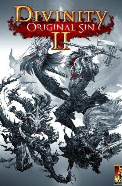 Купить Divinity: Original Sin 2