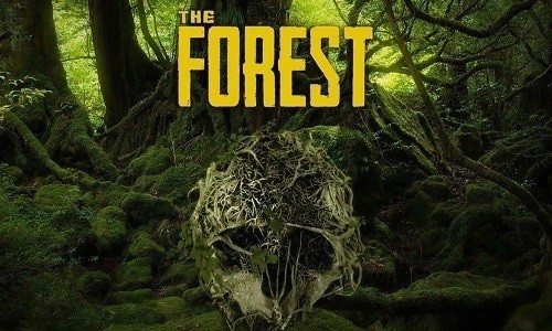 the forest