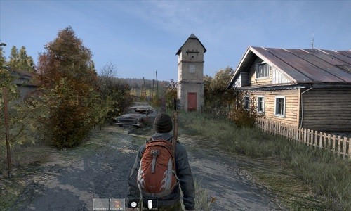 dayz