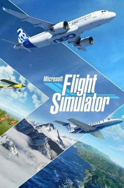 Купить Microsoft Flight Simulator