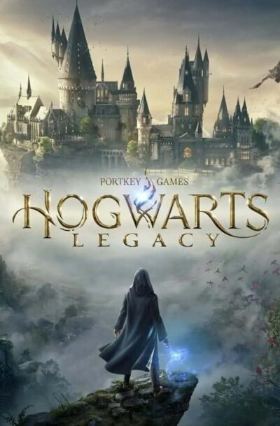 Купить Hogwarts Legacy